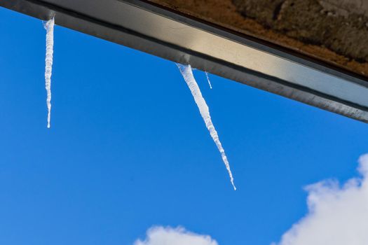 Large icicles hang from the cornish against the blue sky. Close up
