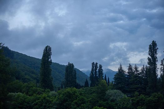 Cloudy summer evening in the forrested mountains