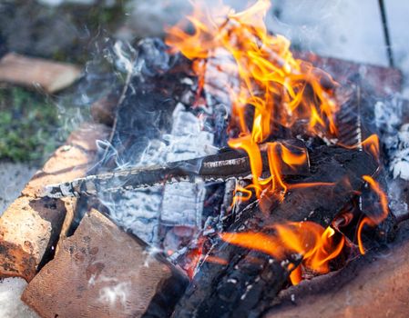 A burning fire in winter in nature. Street food close-up. Cooking food on the fire. Fire for warmth on a cold winter day