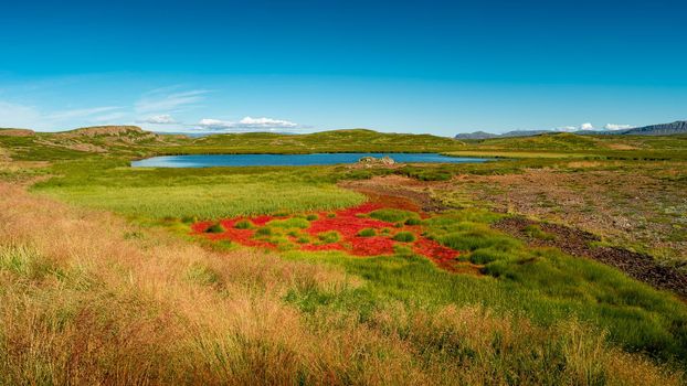 Panoramic view over rough and colorful landscape in Iceland, summer