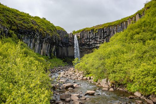 Wonderful and high Svartifoss waterfall with black basalt columns on South Iceland, summer time