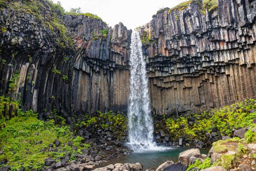 Wonderful and high Svartifoss waterfall with black basalt columns on South Iceland, summer time