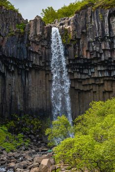 Wonderful and high Svartifoss waterfall with black basalt columns on South Iceland, summer time