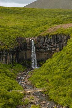 Wonderful and high Svartifoss waterfall with black basalt columns on South Iceland, summer time