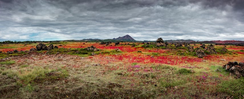 Panoramic view of lava field near lake Myvatn, town Reykjahlid, and volcanoes Hverfjall and Krafla on Iceland