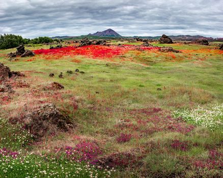 Panoramic view of lava field near lake Myvatn, town Reykjahlid, and volcanoes Hverfjall and Krafla on Iceland