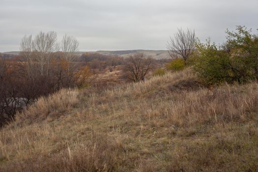 Steppes landscape ath the late autumn