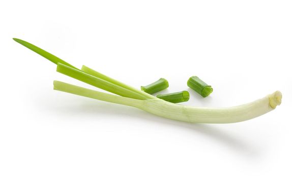 Isolated green spring onion on the white background
