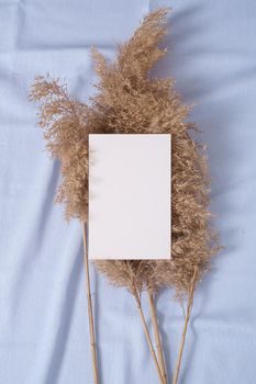 White blank paper card mockup with pampas dry grass on blue neutral colored textile