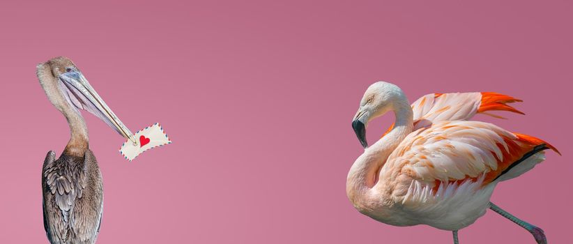 Banner with a pelican holding in his beak a love letter for a beautiful rosy flamingo at gradient pink background with copy space for text. Love, dating and glamour concept