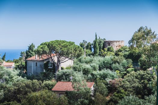 Old windmill Bormes-les-Mimosas typical village in the south of France