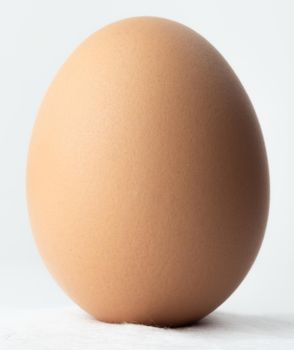 Easter egg standing on a cotton ball and on white background
