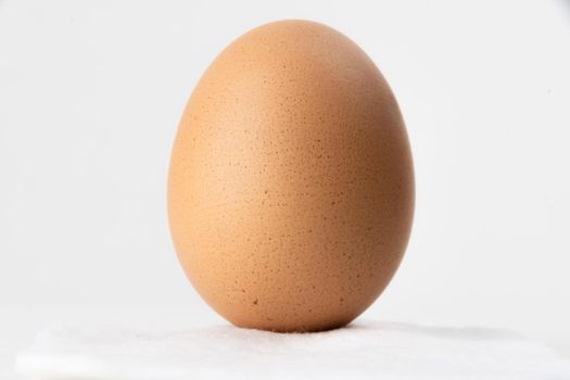 Easter egg standing on a cotton ball and on white background