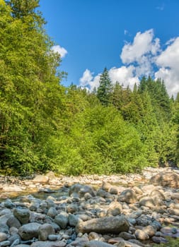 Dried stoney waterway of montailn river on bright summer day.