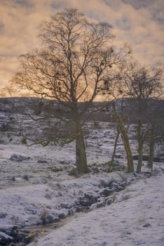 A calm and quiet area that is part of old farm that was in use long time ago  - build in the period of 1855-1870.