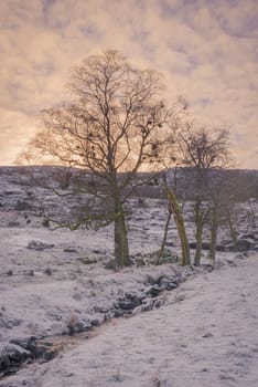 A calm and quiet area that is part of old farm that was in use long time ago  - build in the period of 1855-1870.