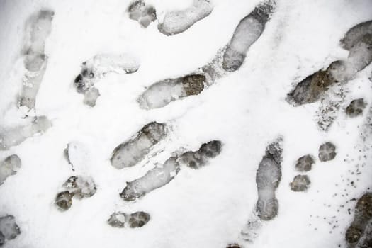 Detail of person's footsteps on a cold and winter day