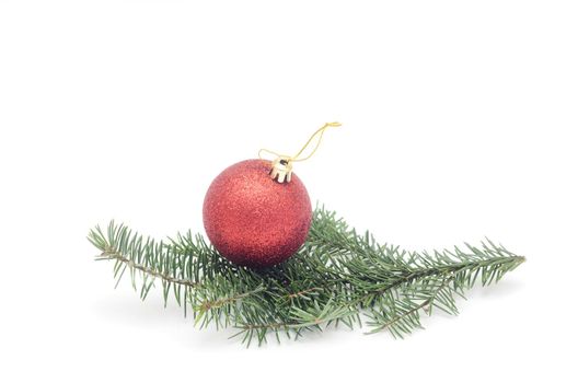 one red ball on Christmas tree branch isolated on white background