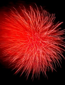 Colorful fireworks isolated on black sky background.