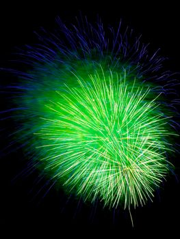 Colorful fireworks isolated on black sky background.