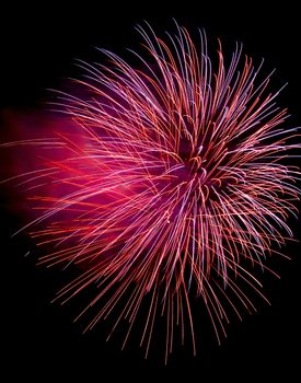 Colorful fireworks isolated on black sky background.