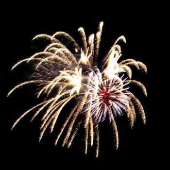 Colorful fireworks isolated on black sky background.