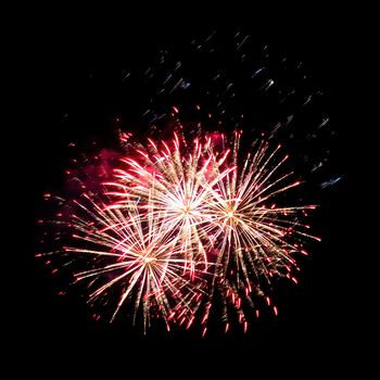 Colorful fireworks isolated on black sky background.