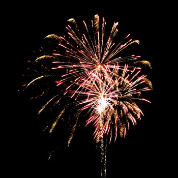 Colorful fireworks isolated on black sky background.