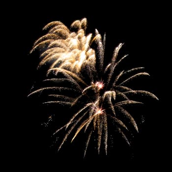 Colorful fireworks isolated on black sky background.