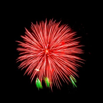 Colorful fireworks isolated on black sky background.