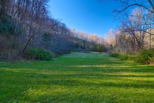 Open Field in Pisgah National Forest North Carolina.