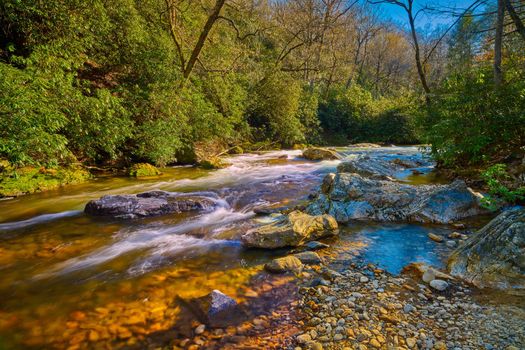 Mills River in Pisgah National Forest North Carolina.