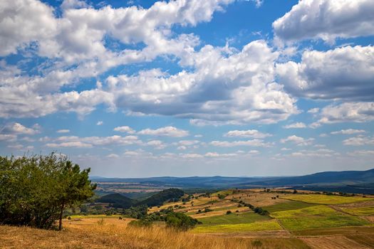 Beauty vast landscape of fields and meadows 