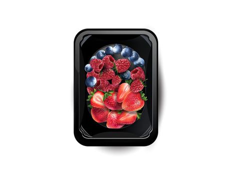 Assorted fresh berries in a lunchbox on a white plate, top view. Realistic style illustration.