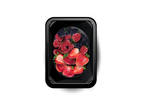 Assorted fresh berries in a lunchbox on a white plate, top view. Realistic style illustration.