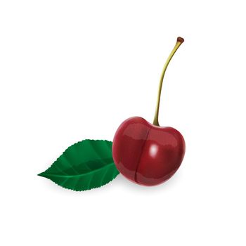 Ripe cherry on a white background. Realistic style illustration.