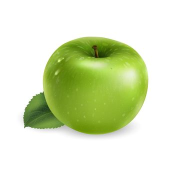 Fresh green apple - healthy food design. Realistic style illustration.