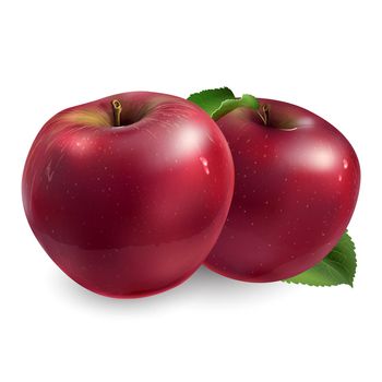 Fresh red apple - healthy food design. Realistic style illustration.
