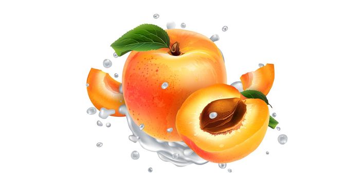 Fresh apricots in milk splashes on a white background. Realistic style illustration.