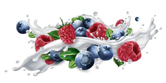 Fresh blueberries and raspberries in a splash of milk or yogurt on a white background. Realistic style illustration.