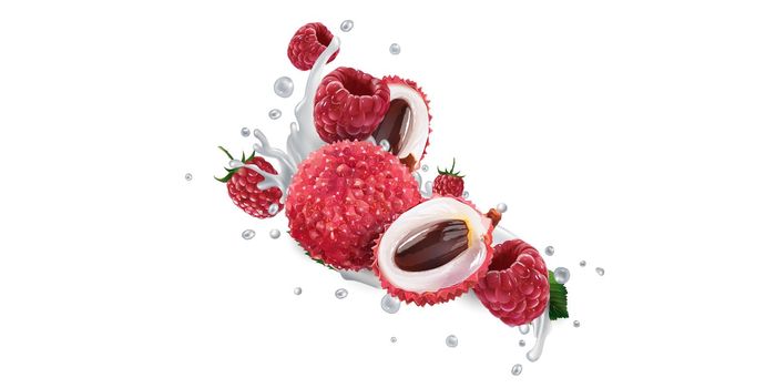 Fresh lychee and raspberries in milk splashes on a white background. Realistic style illustration.