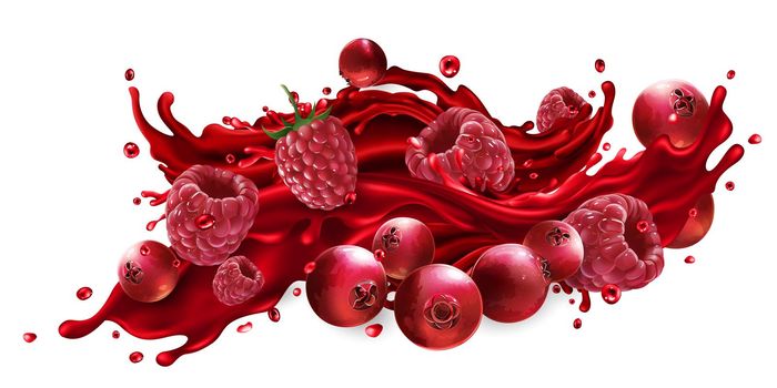 Fresh cranberries and raspberries in a splash of fruit juice on a white background. Realistic style illustration.