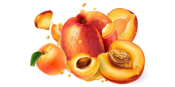 Whole and sliced peaches and apricots in fruit juice splashes on a white background. Realistic style illustration.