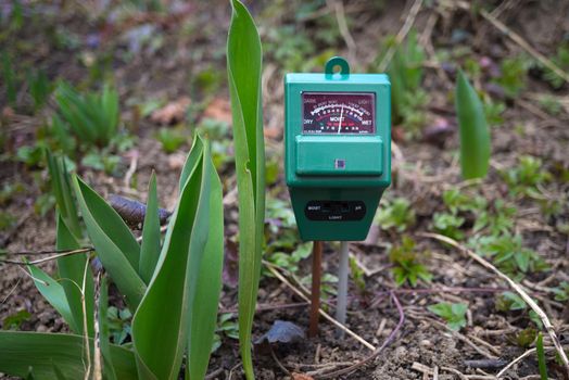 Agricultural meter to measure the moisture and pH content of the soil in a field with fresh green spring seedlings during crop cultivation