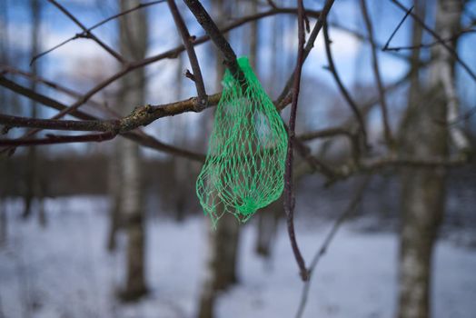 Small green plastic net bag for retail packaging of produce caught in a tree hanging from a branch against a sunny blue sky in a pollution concept