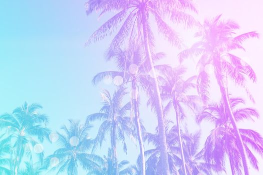 Tropical palm coconut trees on sunset sky flare and bokeh nature colorful copy space summer concept background.