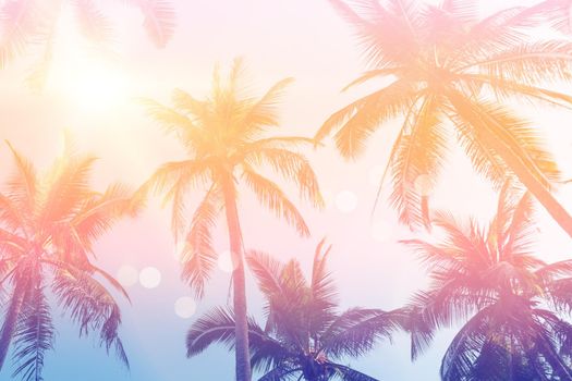 Tropical palm coconut trees on sunset sky flare and bokeh nature colorful copy space summer concept background.