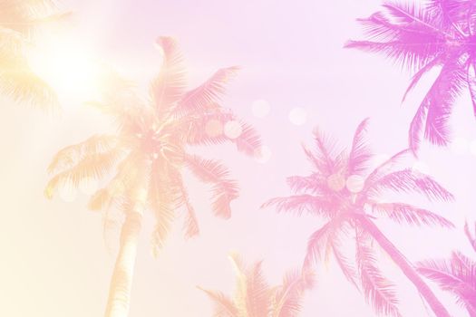 Tropical palm coconut trees on sunset sky flare and bokeh nature colorful copy space summer concept background.