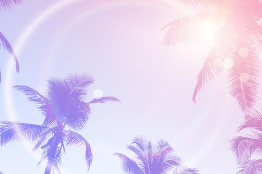 Tropical palm coconut trees on sunset sky flare and bokeh nature colorful copy space summer concept background.