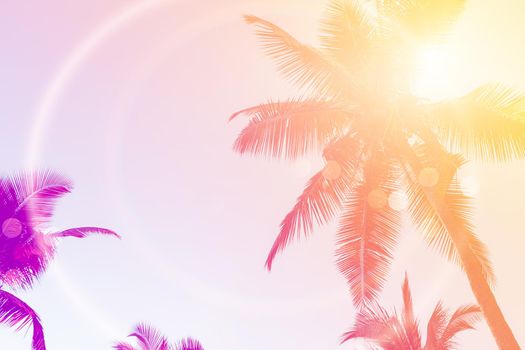 Tropical palm coconut trees on sunset sky flare and bokeh nature colorful copy space summer concept background.